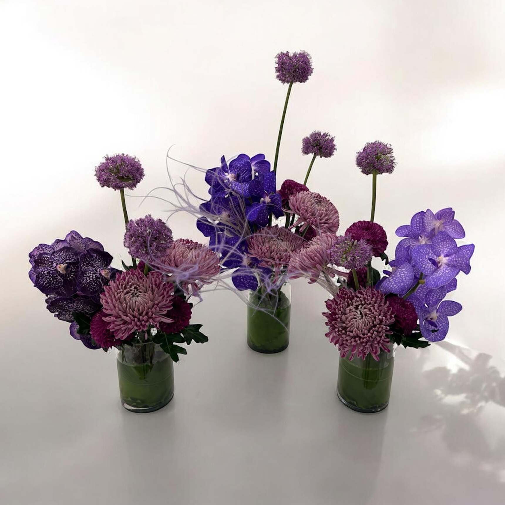 Vanda Glass