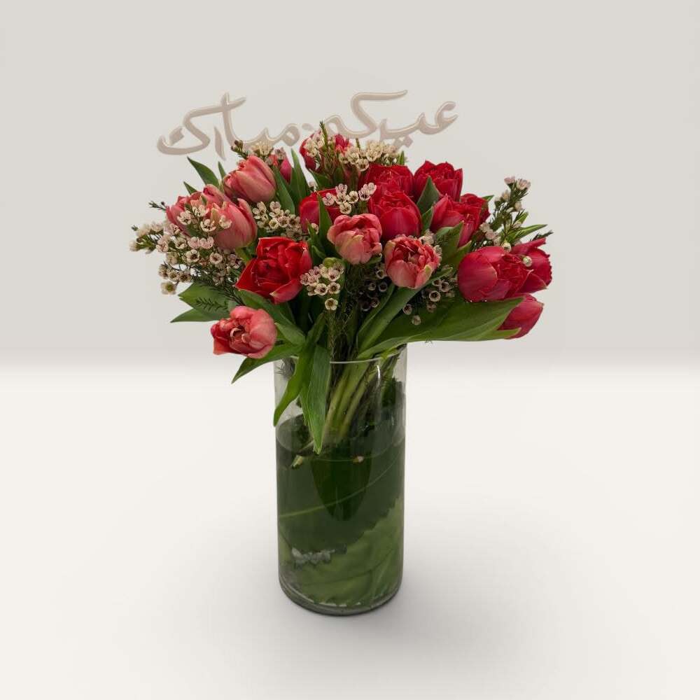 Red Tulip Reverie