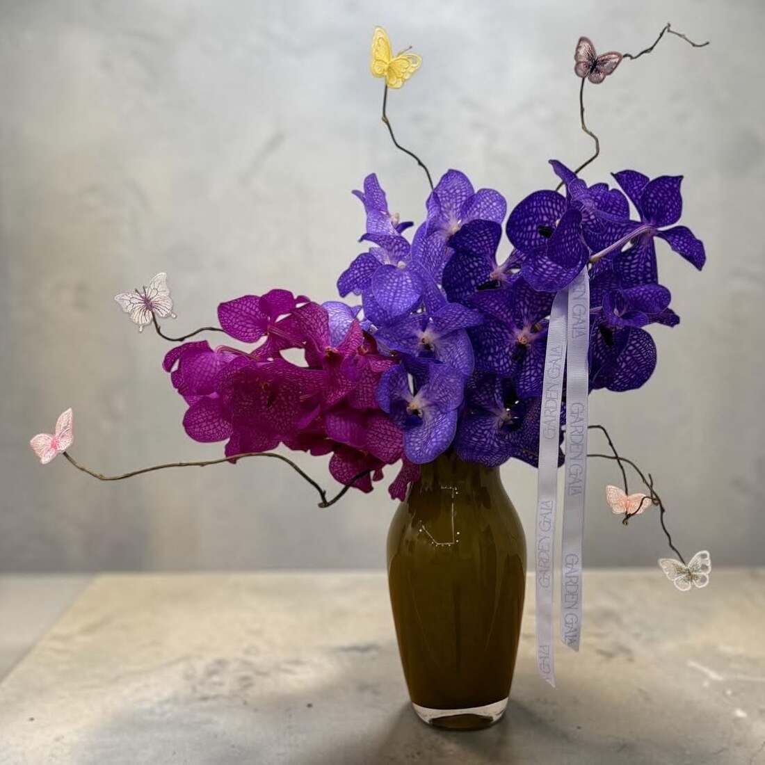Vanda Harmony